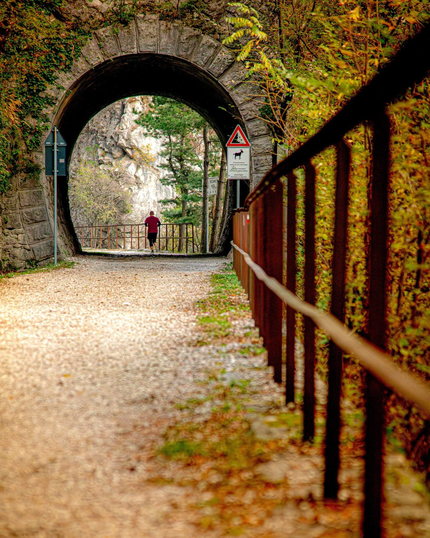 Veduta di Trieste